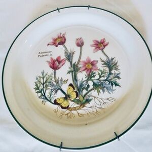 Wedgwood Florabunda Tunstall 8" Plate For display or use Anemone & butterflies